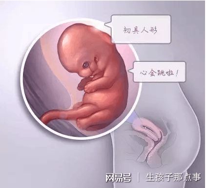 张医生